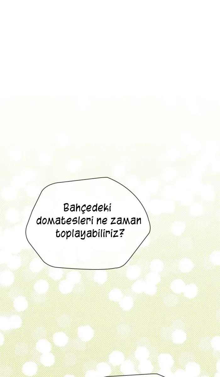 Sayfa 5