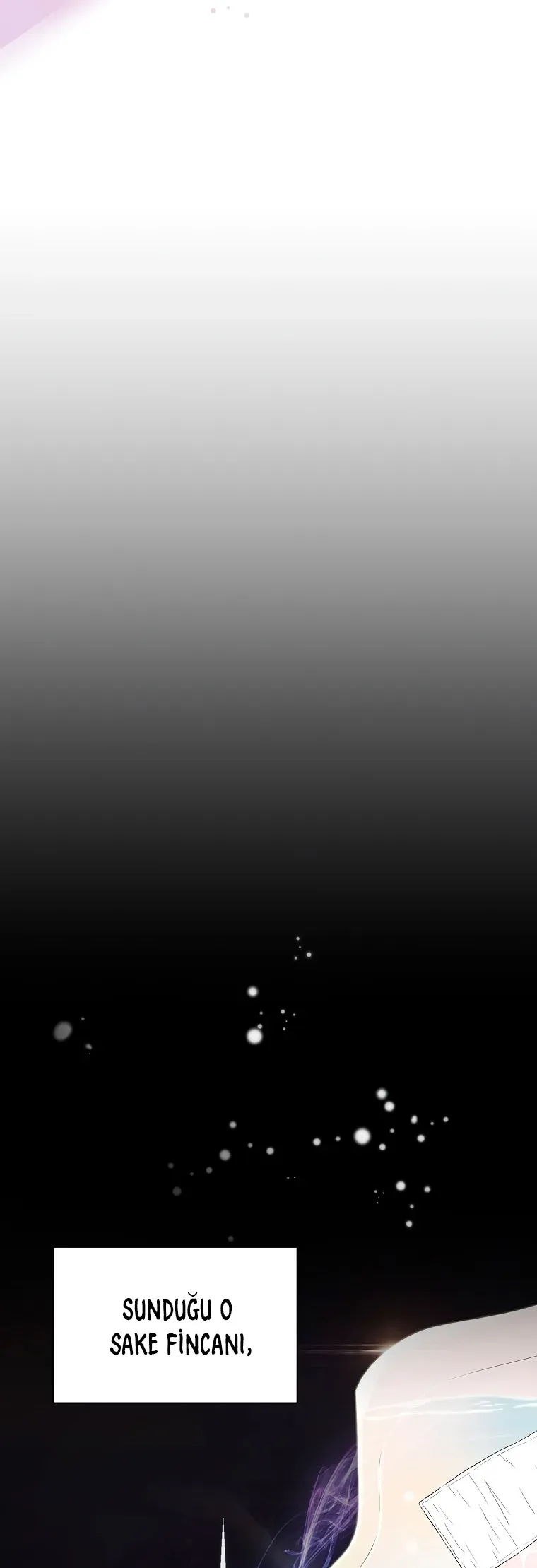 Sayfa 6