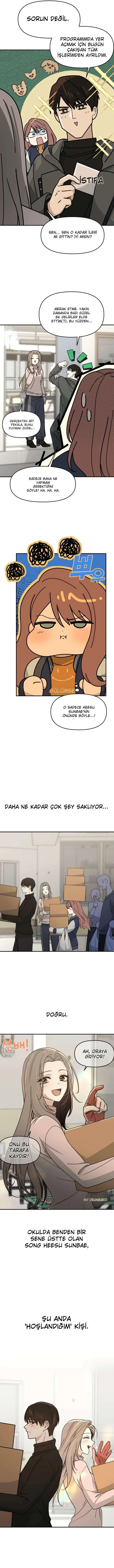 Sayfa 5