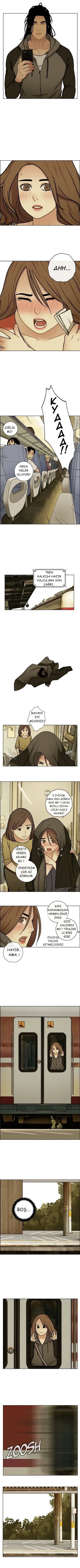 Sayfa 5