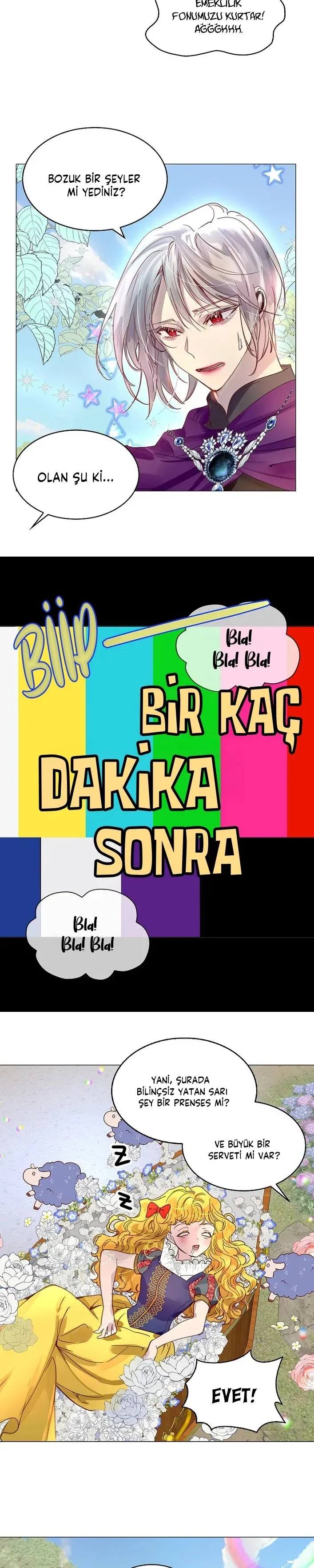 Sayfa 6