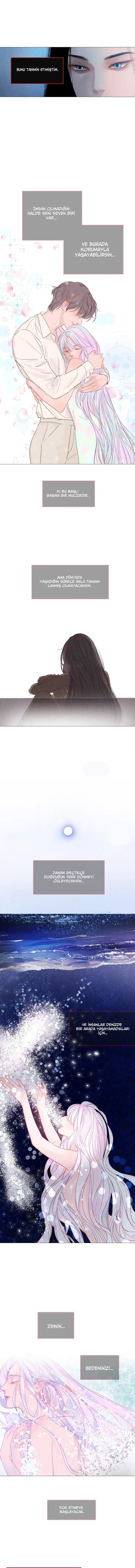 Sayfa 6
