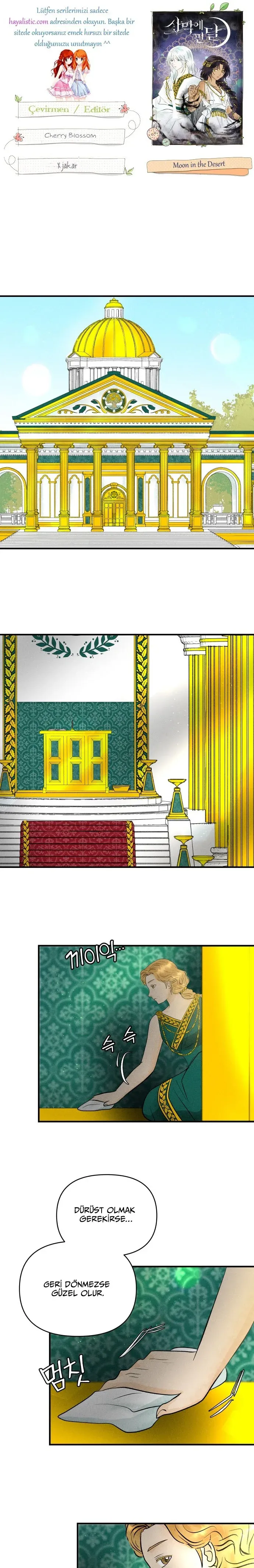 Sayfa 1