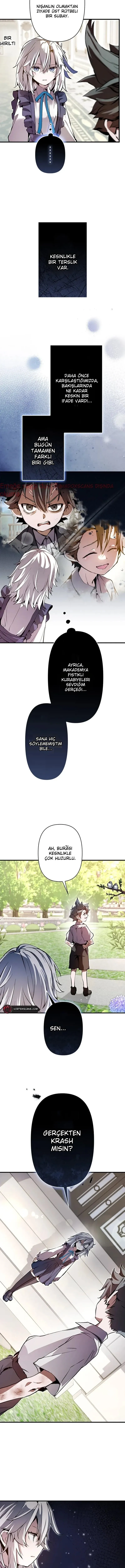 Sayfa 6