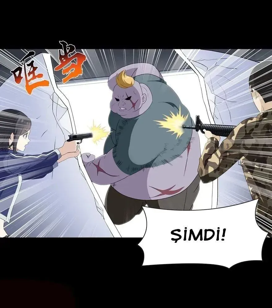 Sayfa 5