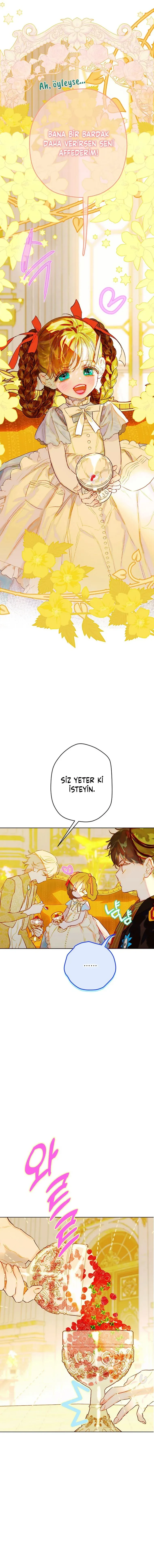 Sayfa 5