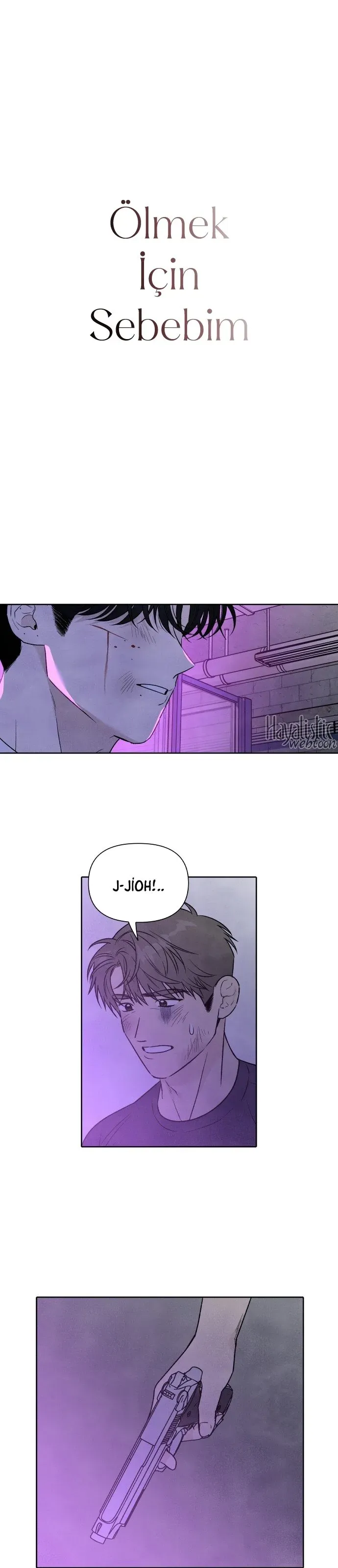 Sayfa 2