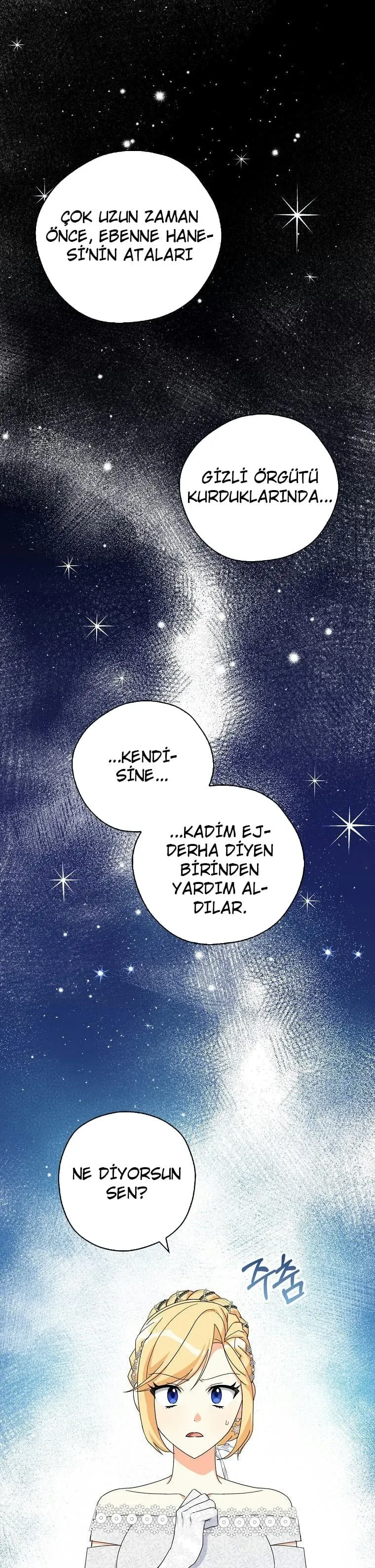Sayfa 2