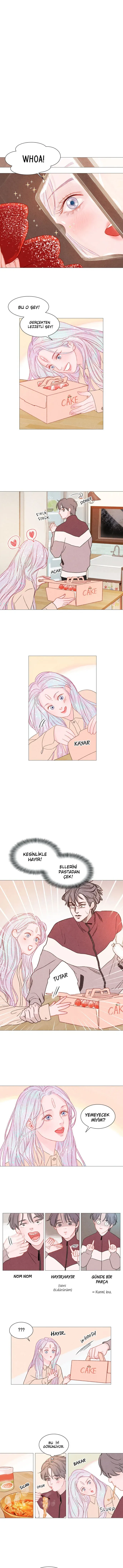 Sayfa 6