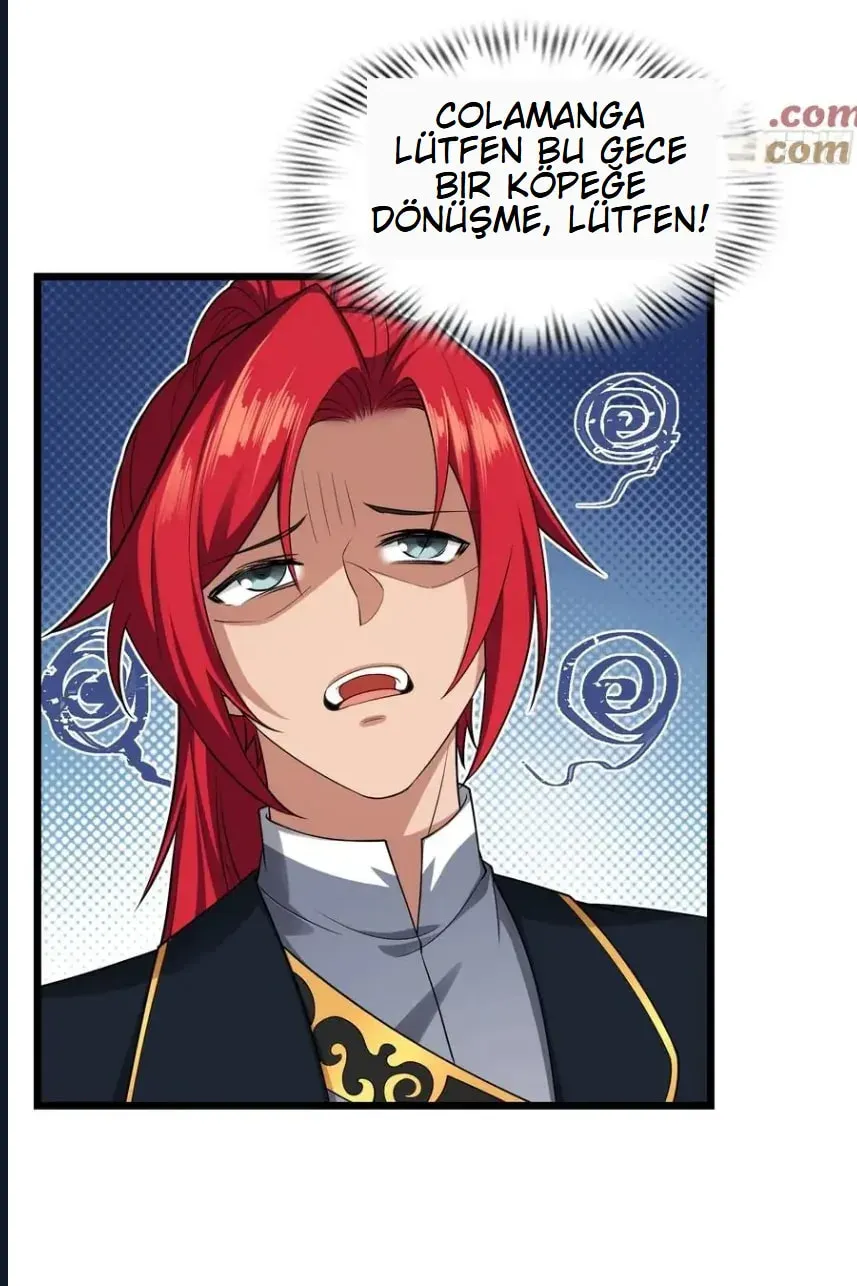 Sayfa 4