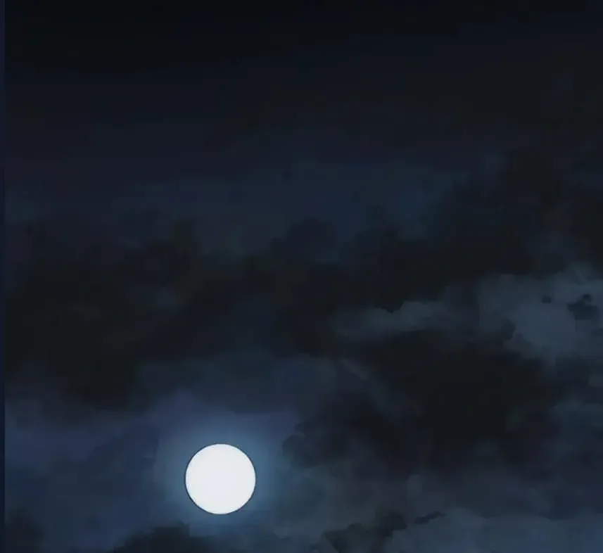 Sayfa 5