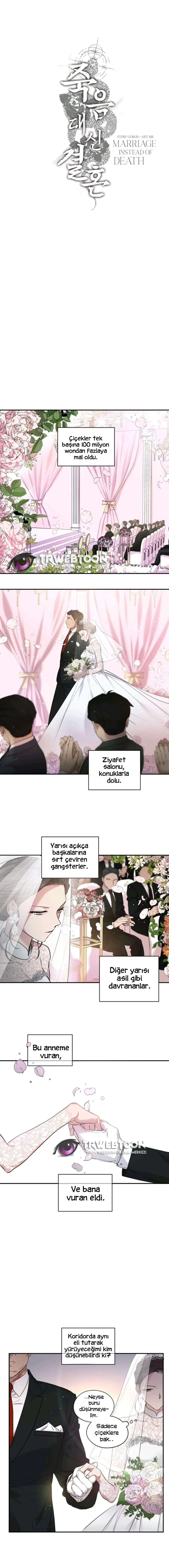 Sayfa 1