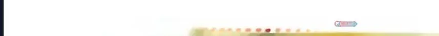 Sayfa 1
