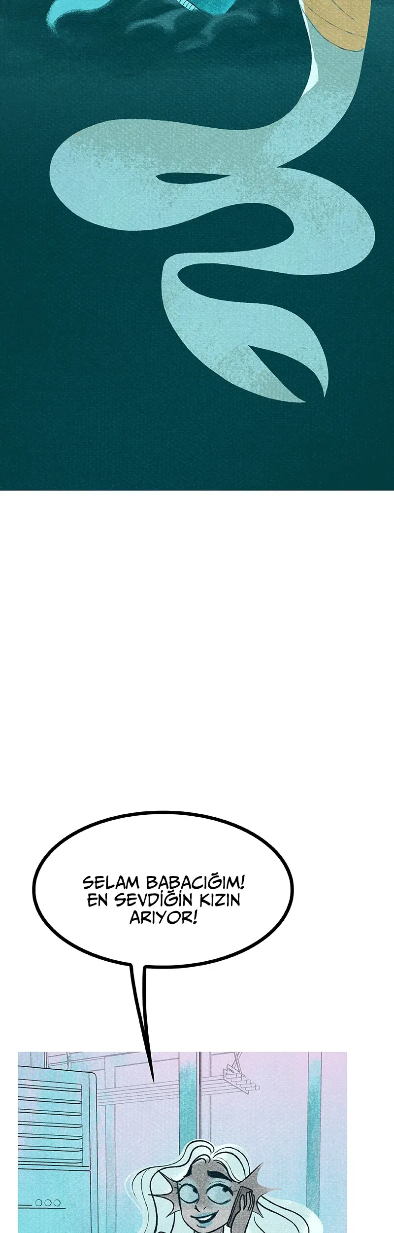 Sayfa 5