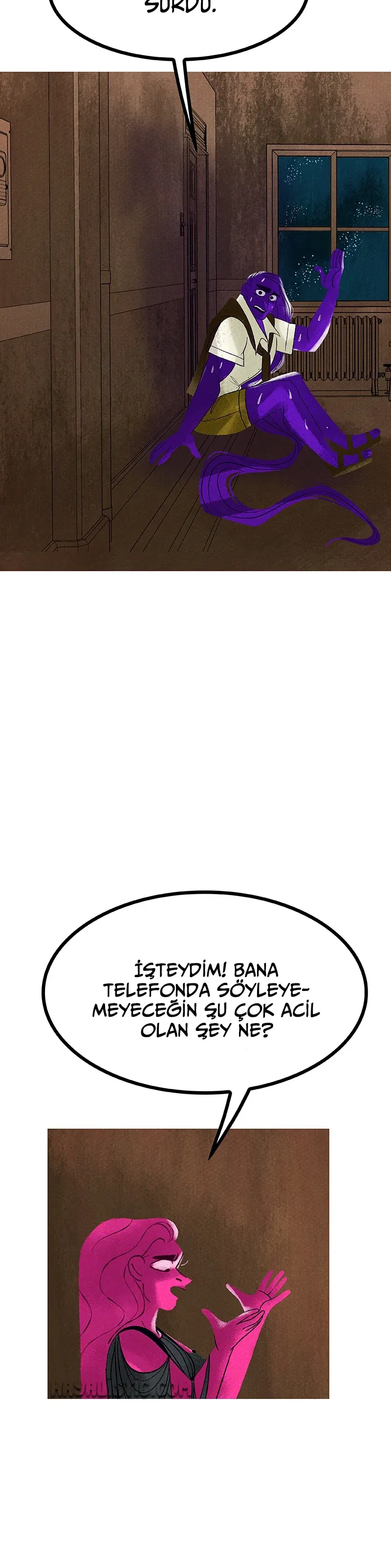 Sayfa 5