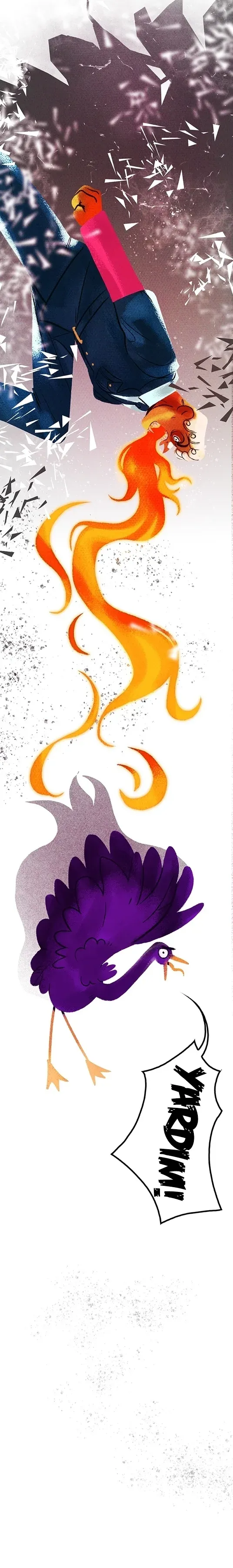 Sayfa 5
