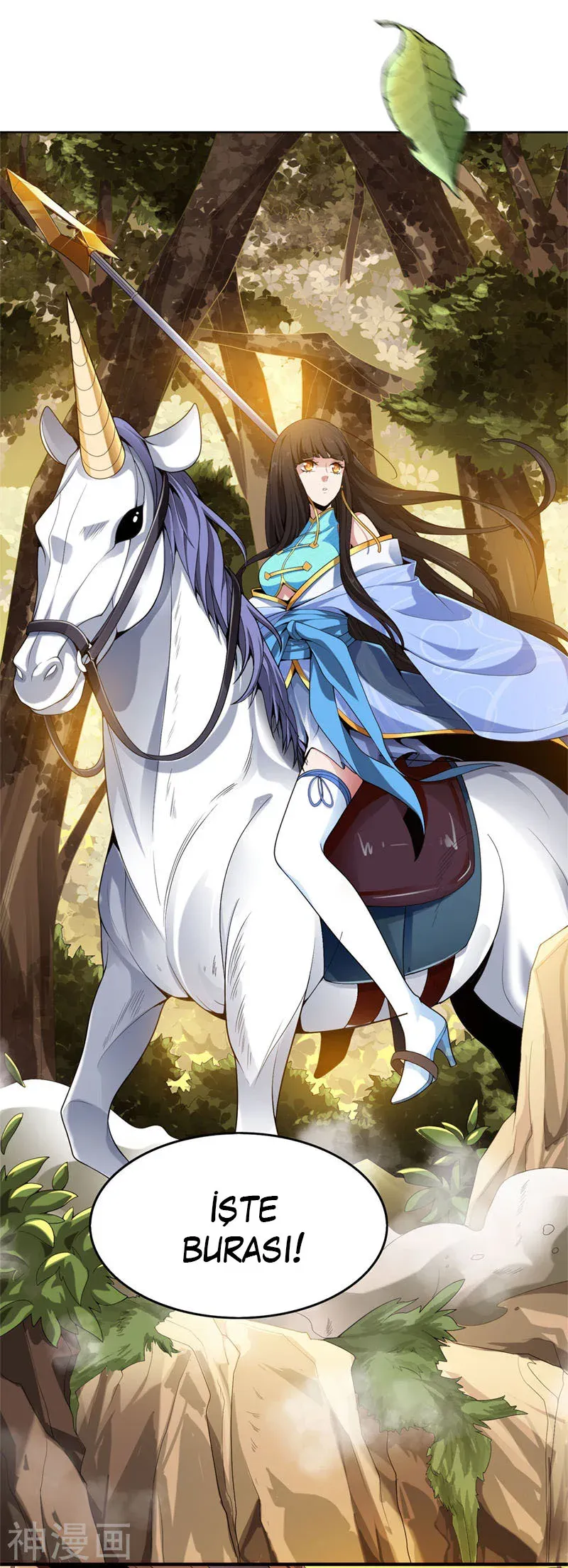 Sayfa 5