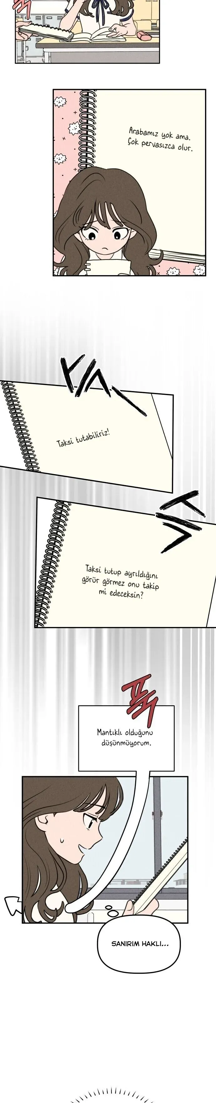 Sayfa 4