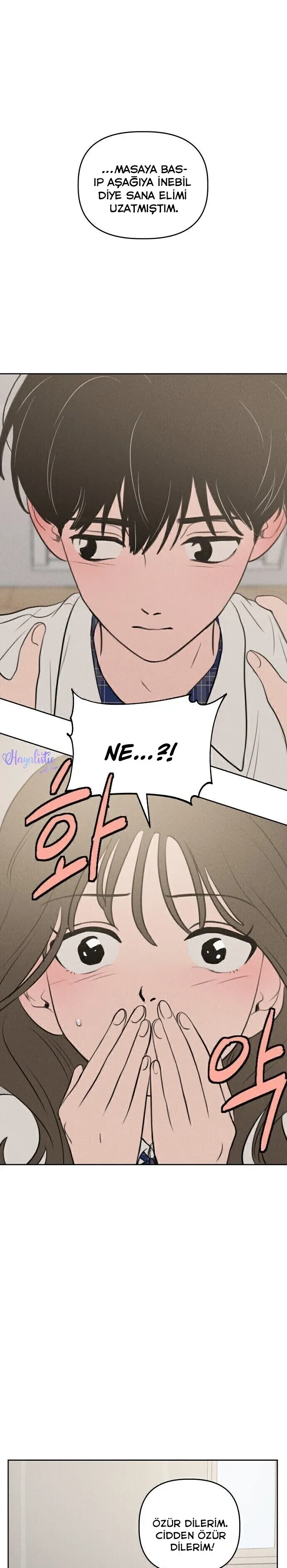 Sayfa 2