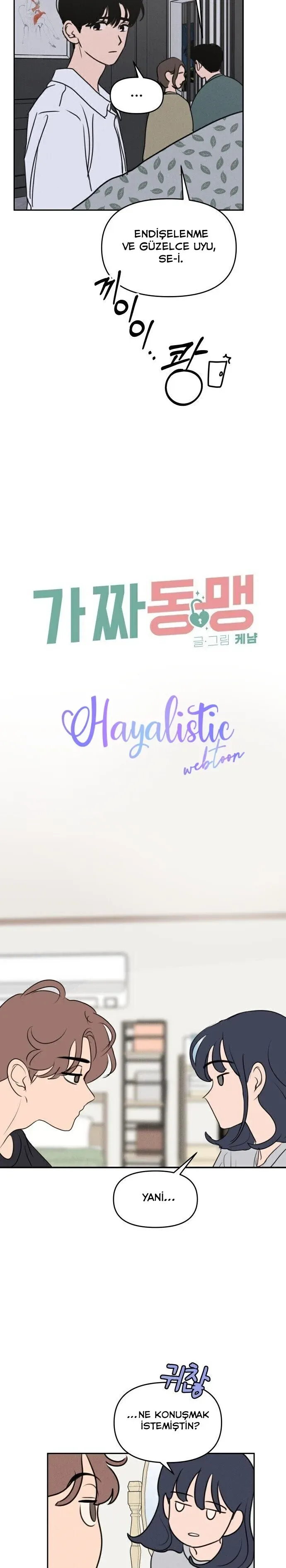 Sayfa 4