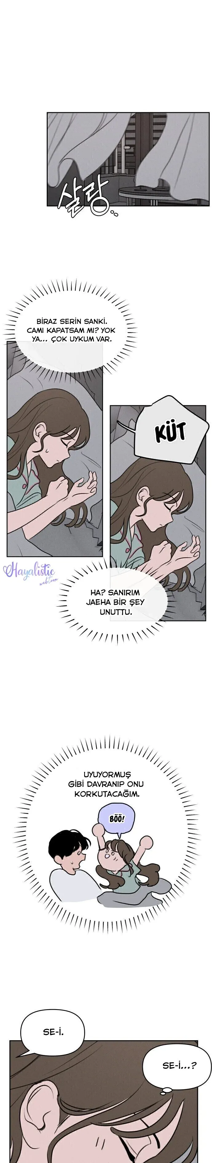 Sayfa 2