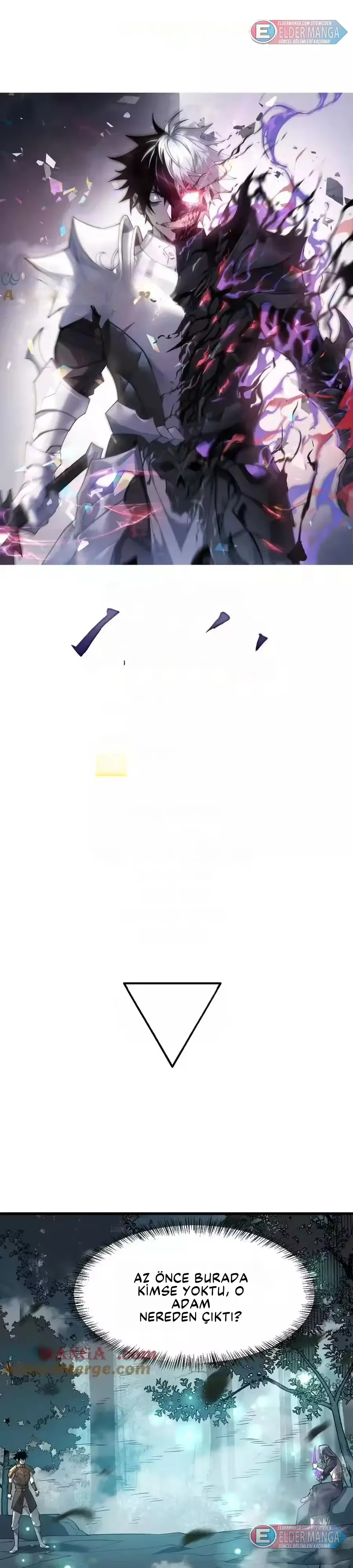 Sayfa 1