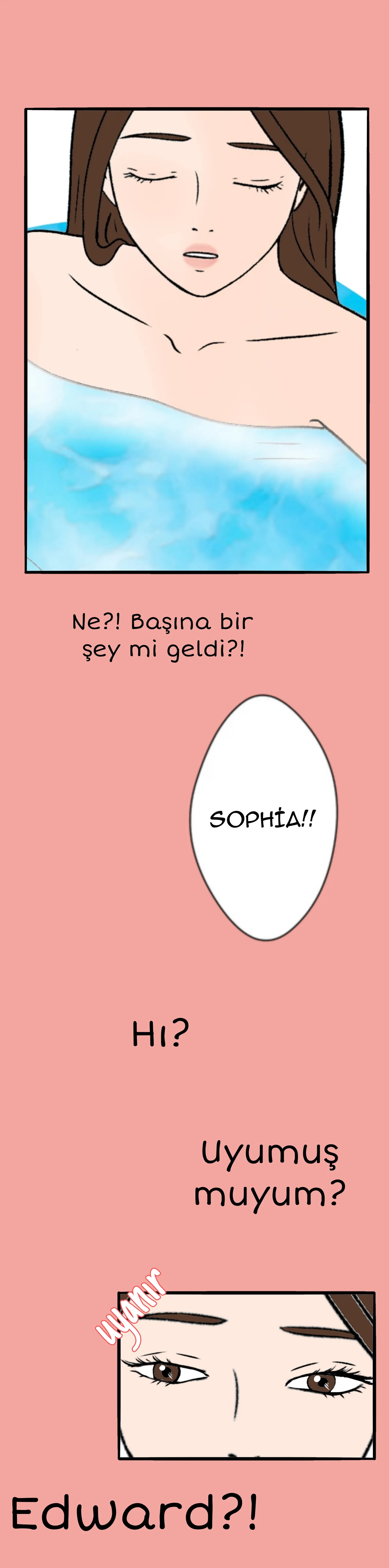 Sayfa 2