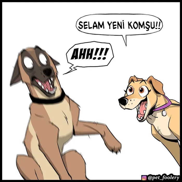 Sayfa 6