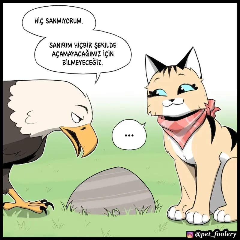 Sayfa 3