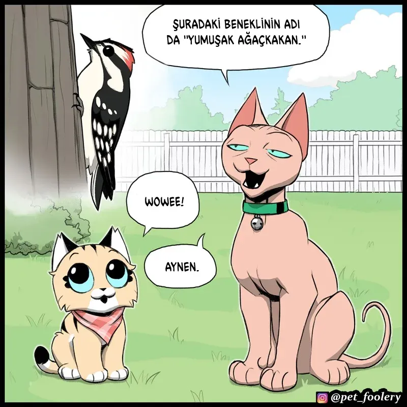 Sayfa 2