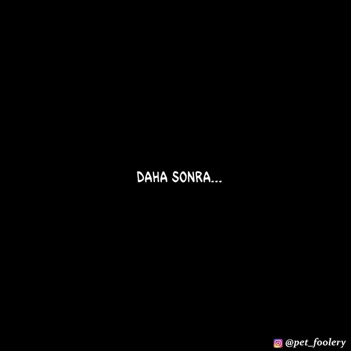 Sayfa 5