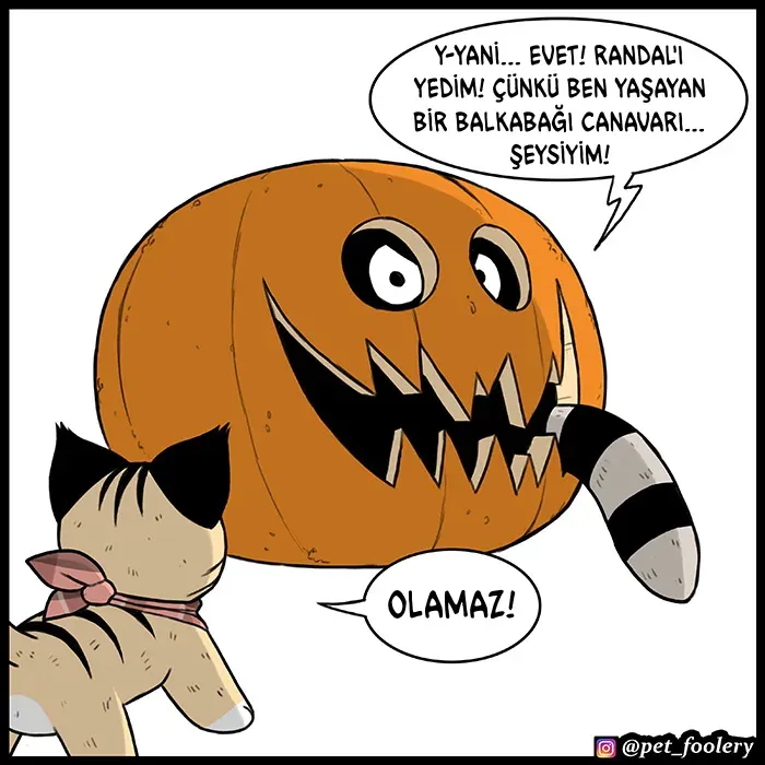 Sayfa 4