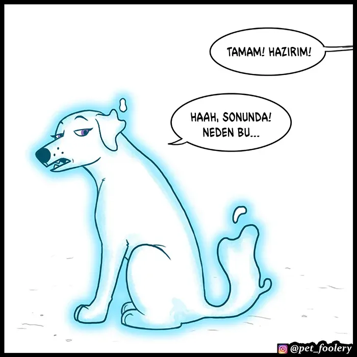 Sayfa 6