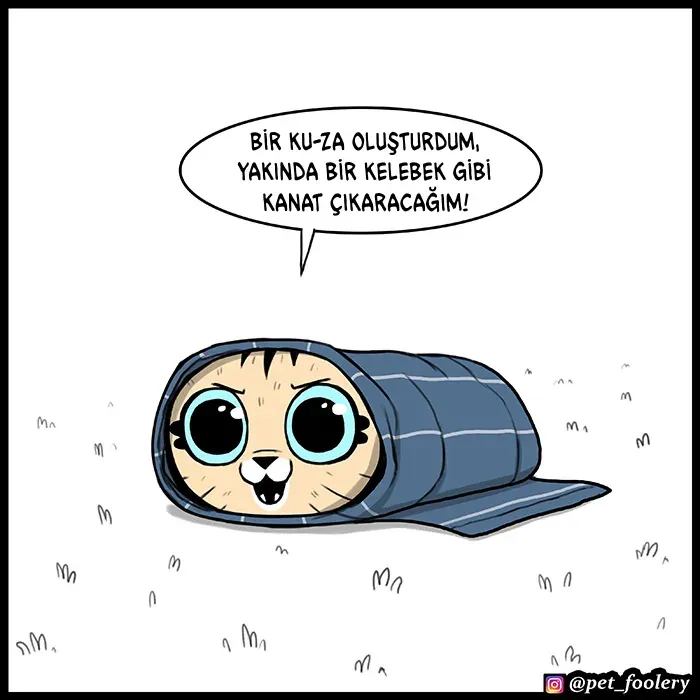 Sayfa 3