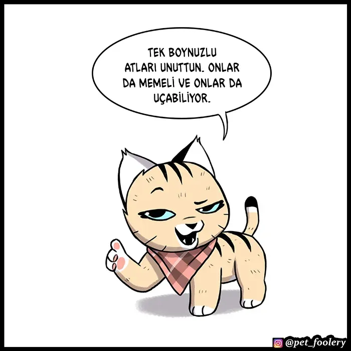 Sayfa 5