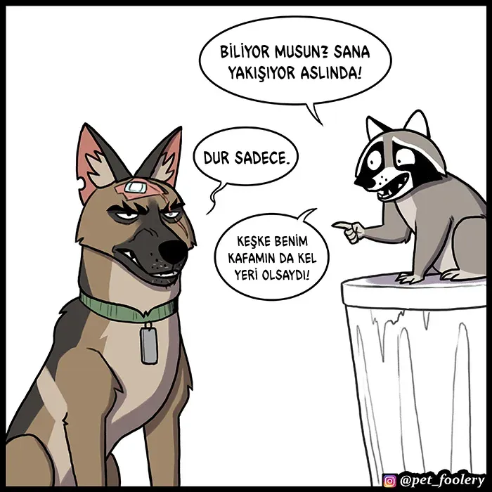 Sayfa 5
