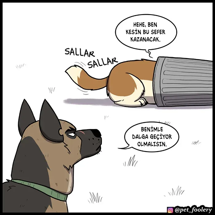 Sayfa 3