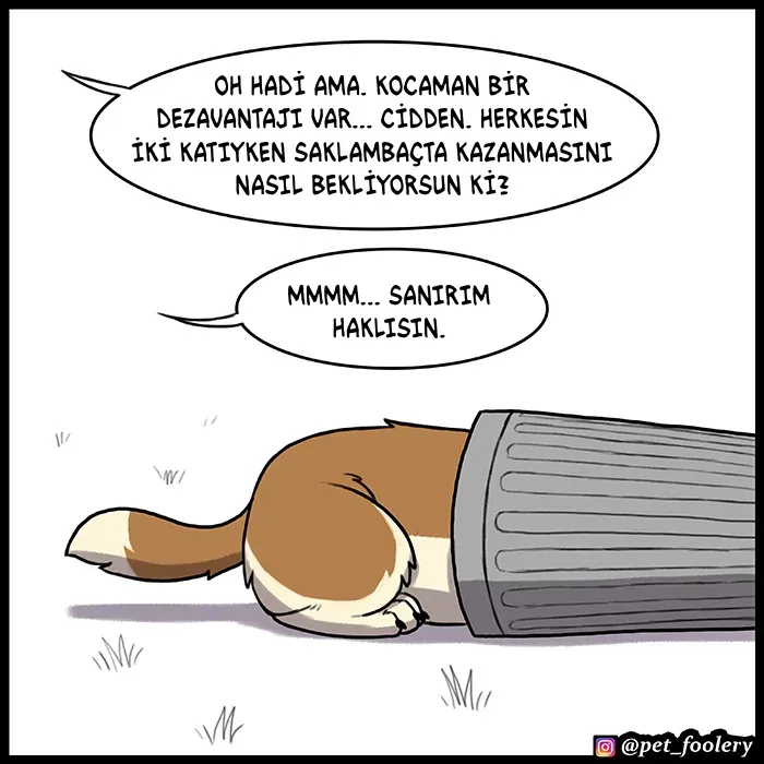 Sayfa 5