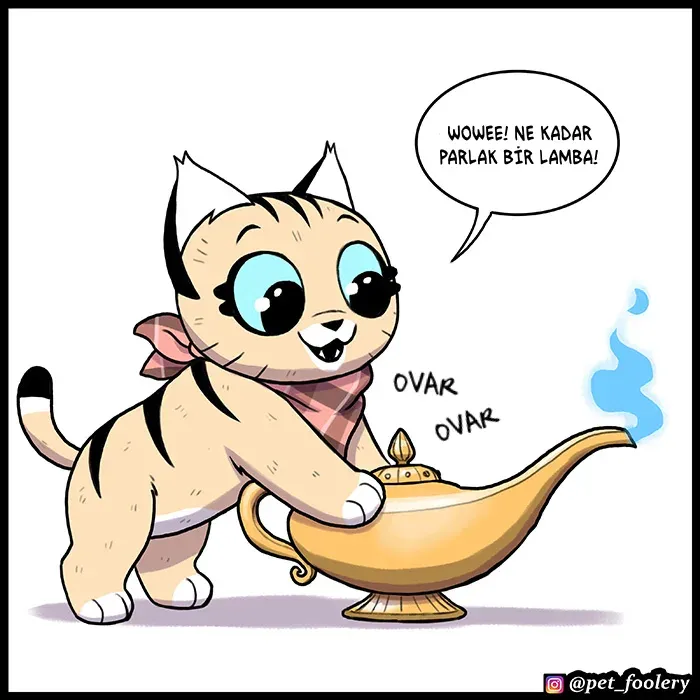 Sayfa 2