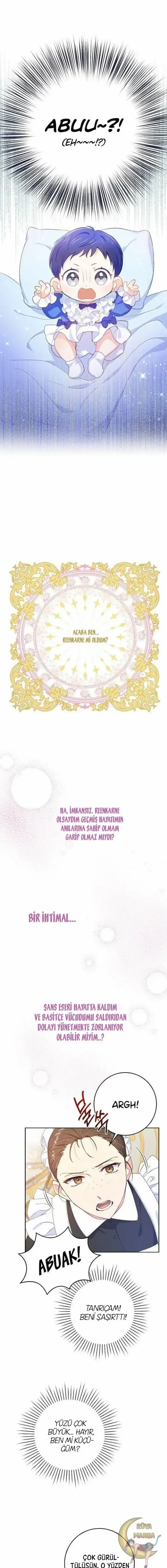 Sayfa 2