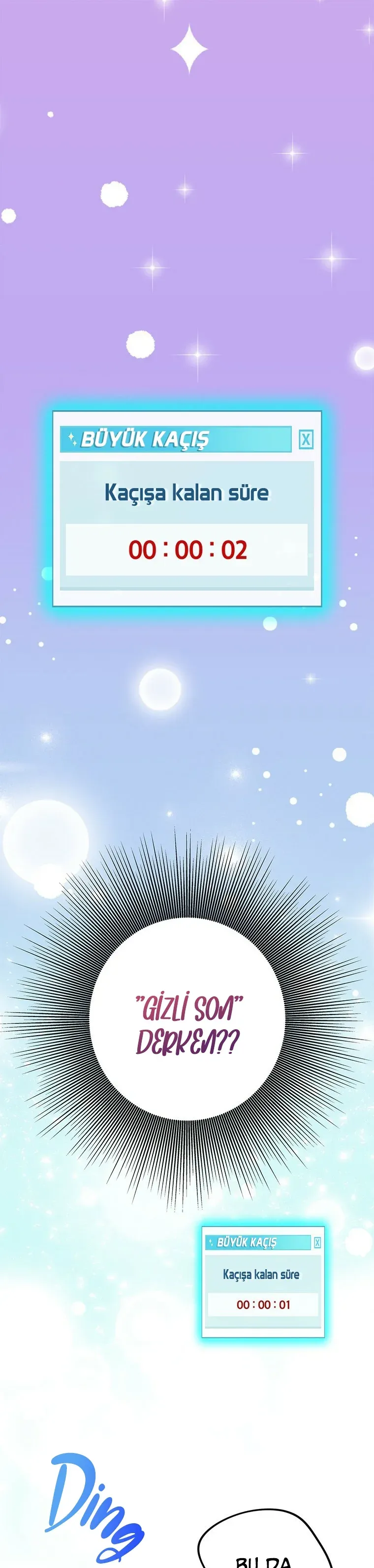 Sayfa 2
