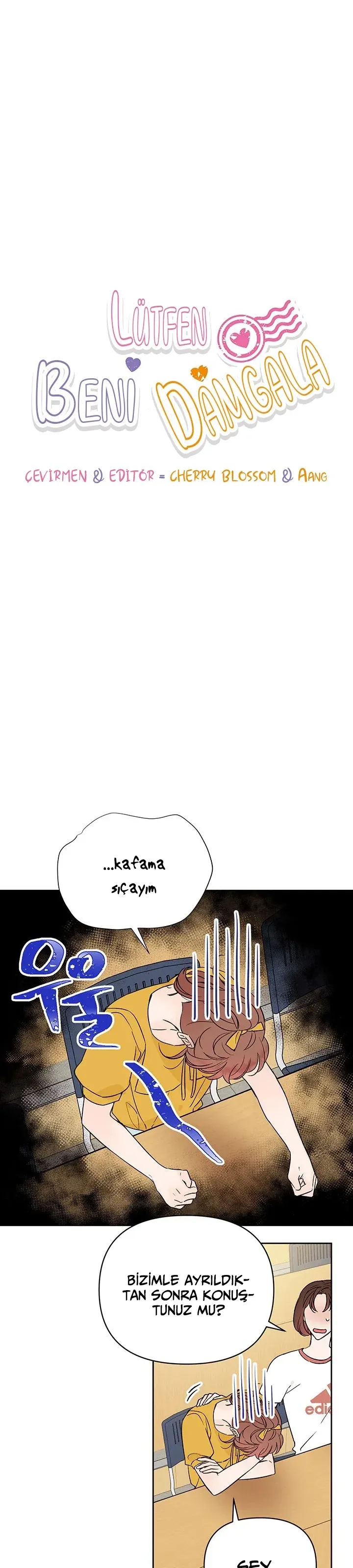 Sayfa 4