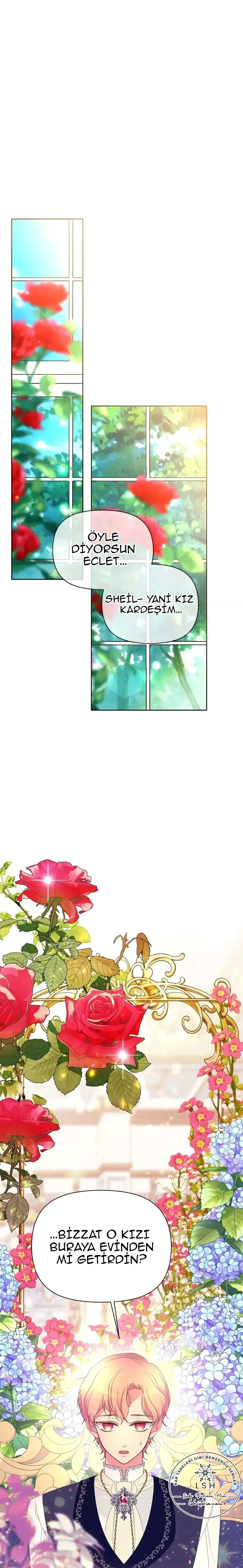 Sayfa 1