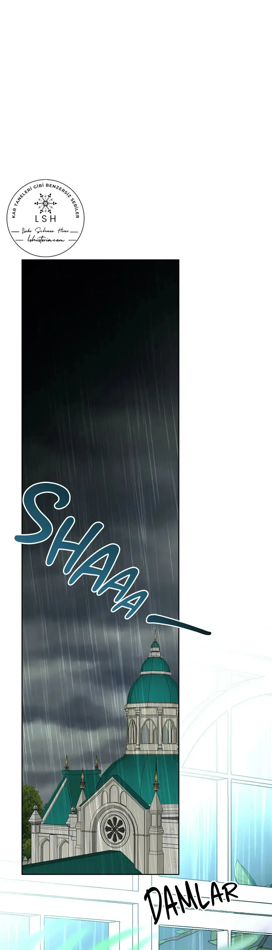 Sayfa 1