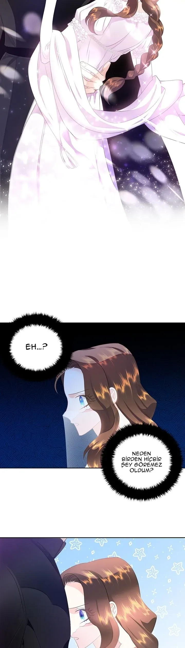 Sayfa 6