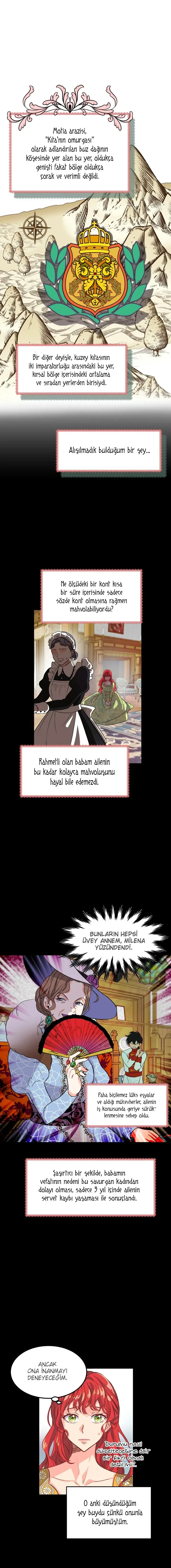 Sayfa 3