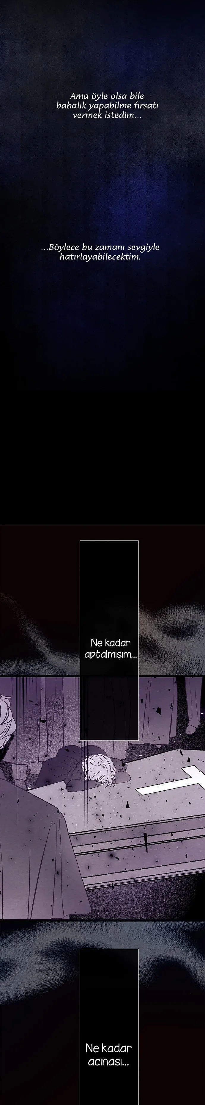 Sayfa 5