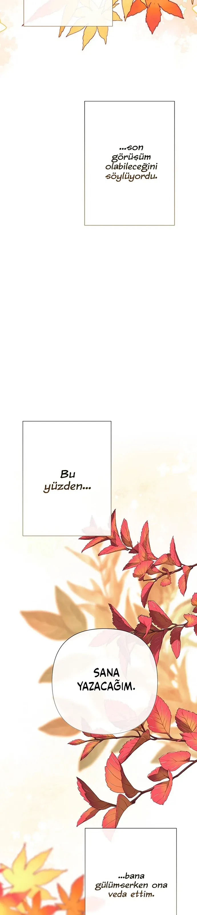 Sayfa 5