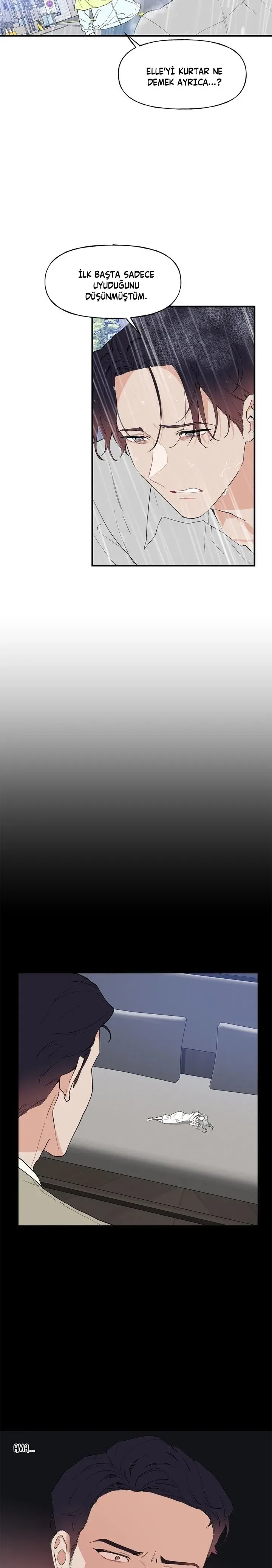 Sayfa 6