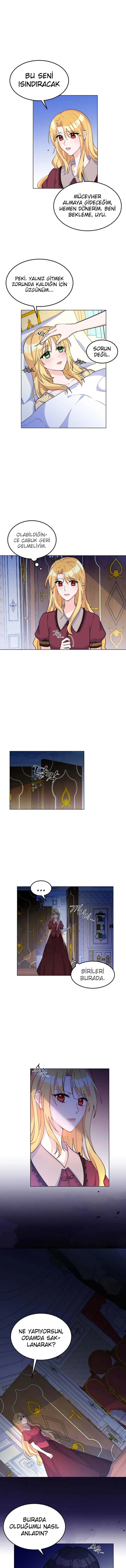 Sayfa 6